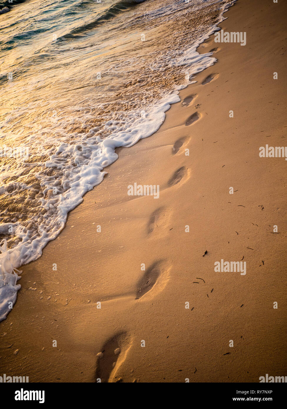 Huellas en la arena de Playa Tropical, Gobernadores Harbour Eleuthera, las Bahamas, El Caribe. Foto de stock
