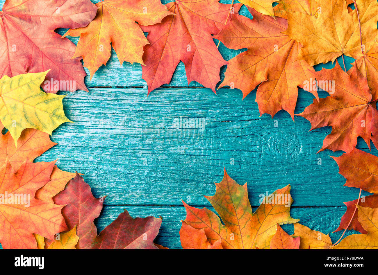 lamentar Adiós Rústico Foto de hojas de otoño en el cuadro azul Fotografía de stock - Alamy