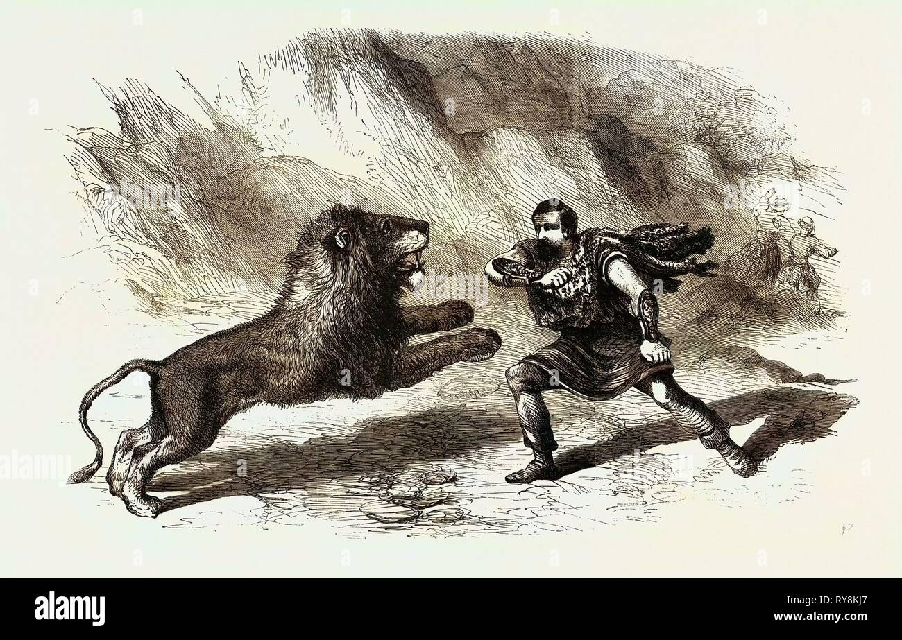 El Sr. Crockett, el domador de leones, realizando con sus leones en  Astley's Theatre el león Conquistador o La jungla de la muerte Fotografía  de stock - Alamy