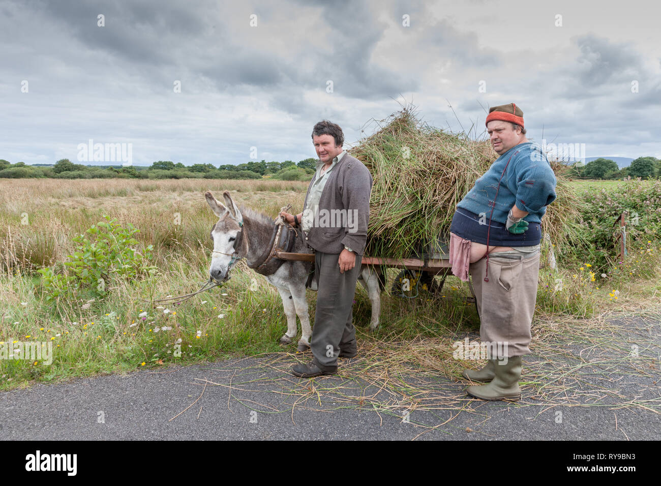 Enniscrone, Sligo, Irlanda. El 13 de agosto, 2009. Un agricultor trae a casa la caña con este burro y carro en Enniscrone Irlanda Sligo, Co. Foto de stock