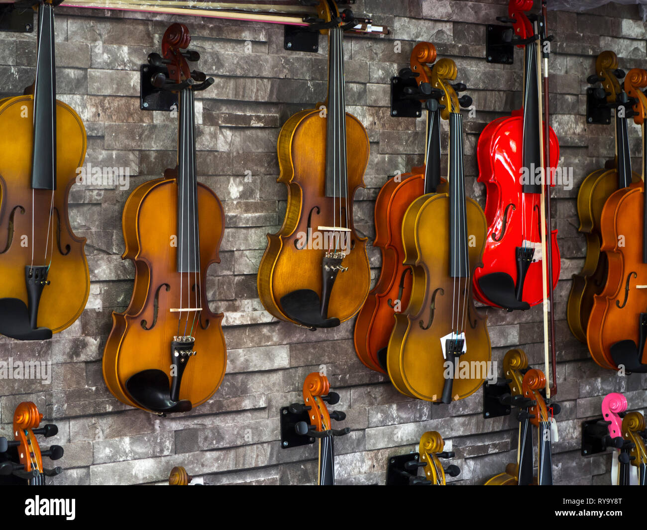 Los violines de pie sobre la pared de una tienda de música. Muchos violines  de madera Fotografía de stock - Alamy