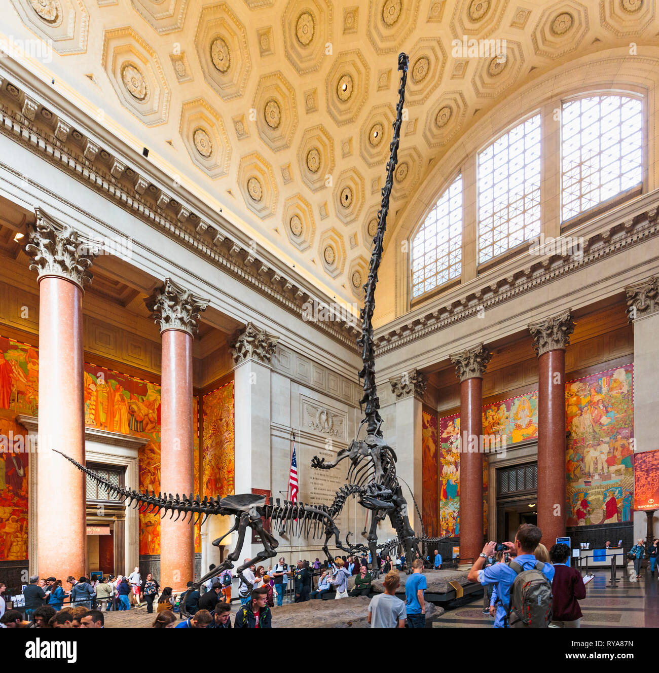 Theodore Roosevelt Rotunda, el Museo Americano de Historia Natural. Dos dinosaurios lucha. Un Barosaurus extienda hacia arriba para proteger a sus crías de algún atacante Foto de stock