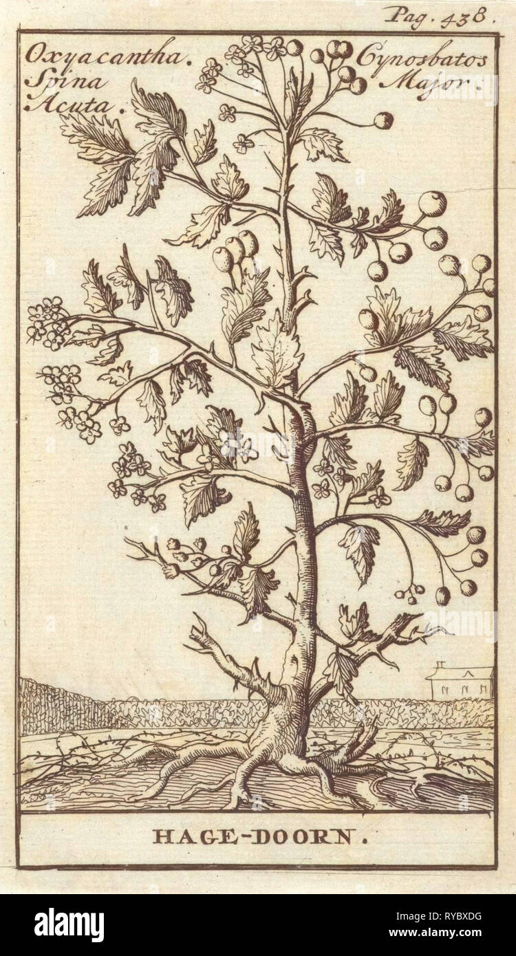 Haw, Caspar, Jan Luyken Claesz diez Hoorn, 1698 Foto de stock