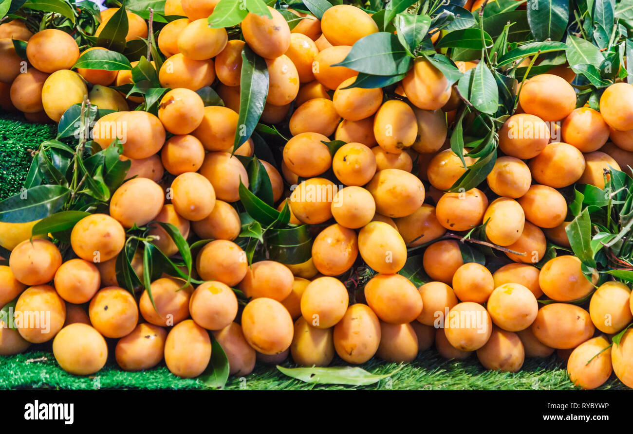 Naranja dulce brillante maduros (Marian Maprang Mango, ciruela, Mango,  ciruela Mariana Mayong Gandaria, niño), fruta tropical tradicional  tailandés en puestos callejeros en r Fotografía de stock - Alamy