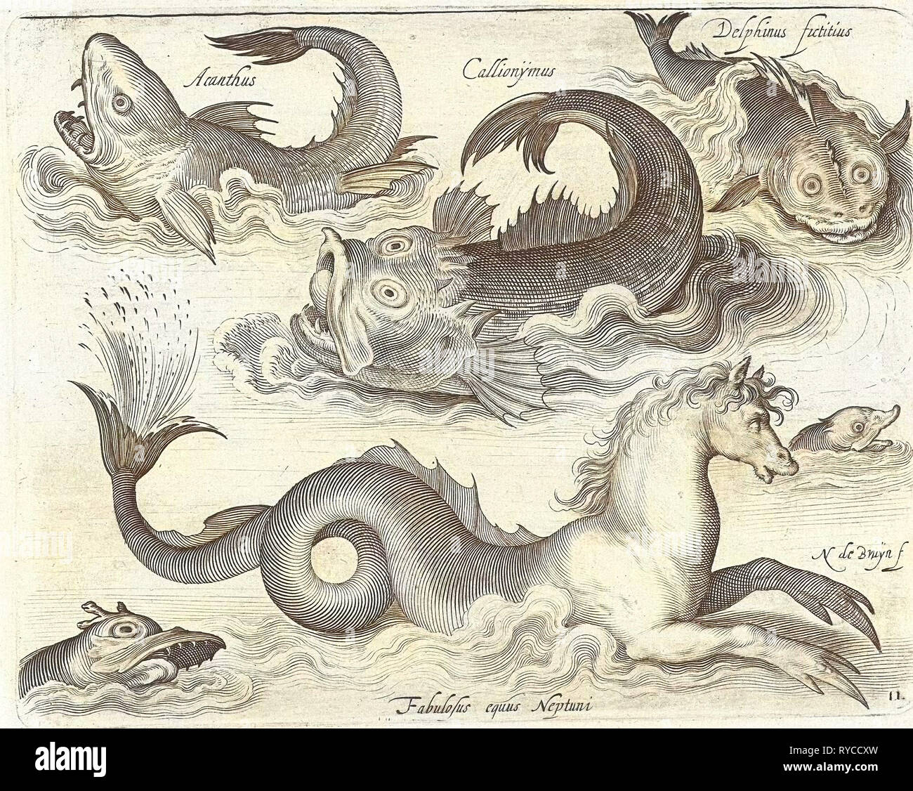 Fantástica invertebrados, incluyendo un caballito de mar, Nicolaes de Bruyn, 1581 - 1656 Foto de stock