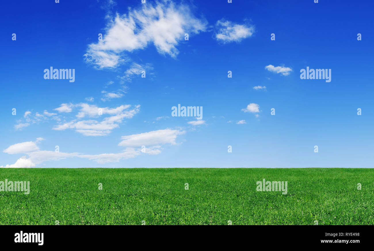 Vista de los campos verdes, el cielo azul y las nubes blancas en segundo plano. Foto de stock