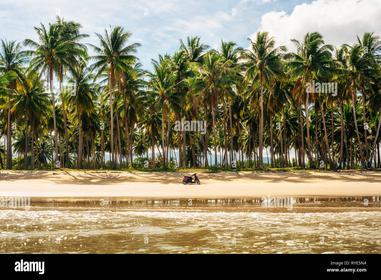 Scooter en la recluida playa larga en San Vincente con palmeras, Palawan, Filipinas Foto de stock