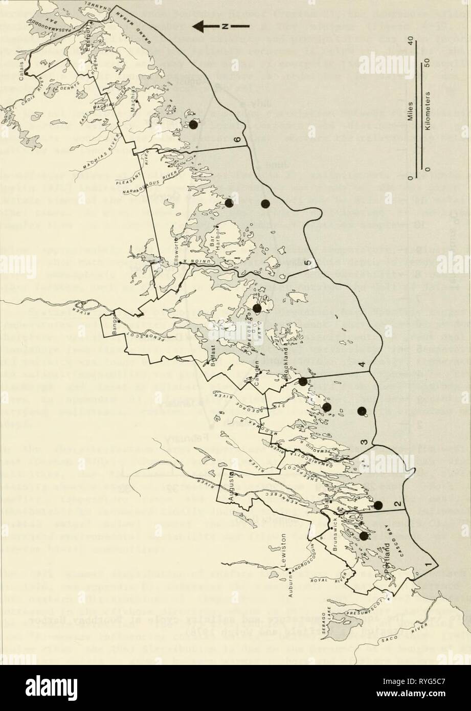 Una caracterización ecológica de la costa de Maine (norte y este de Cape Elizabeth ecologicalcharac02usfi) Año: 1980 4-16 Foto de stock