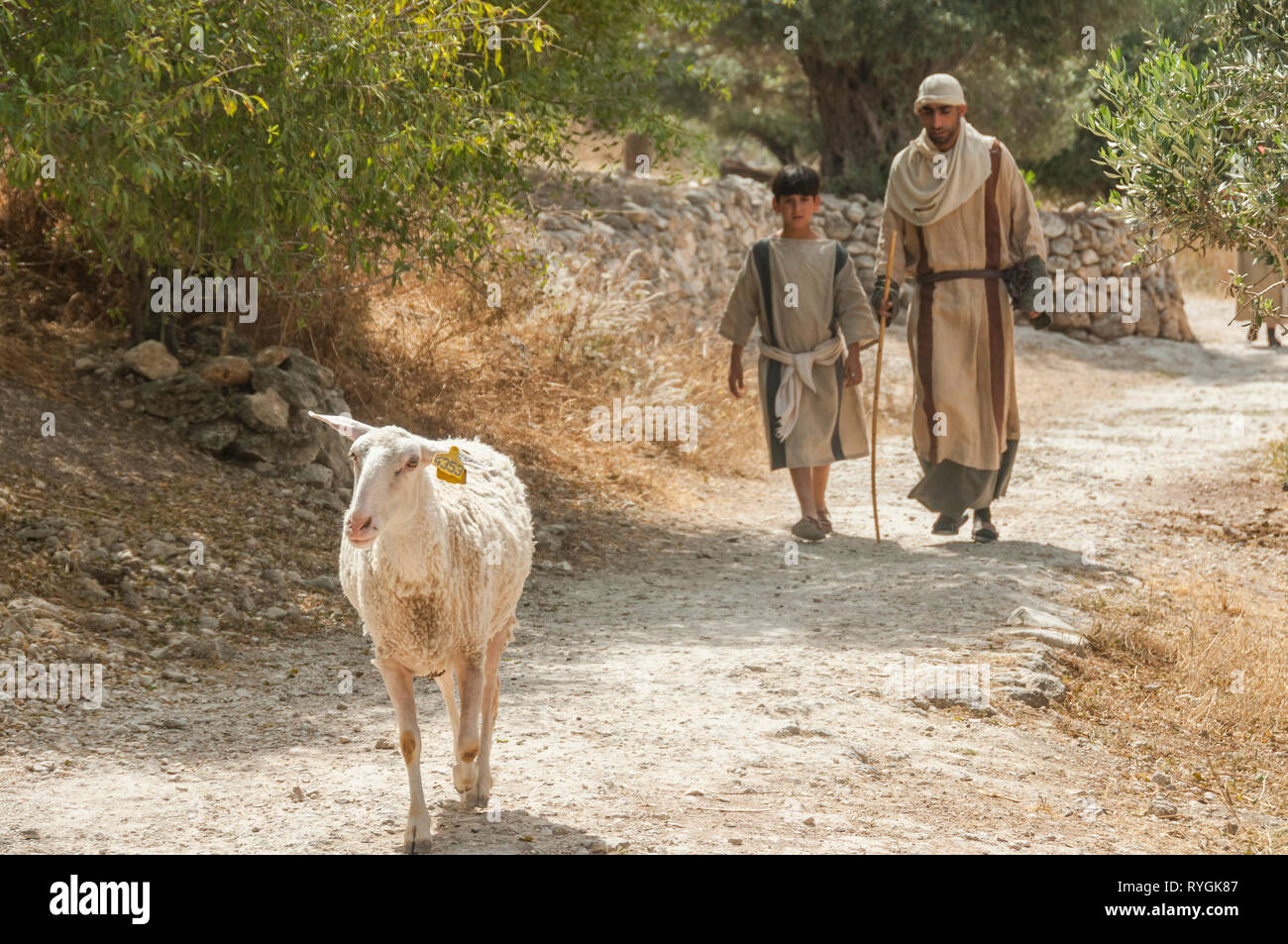 Nazaret,Israel,22-may-2010:chico y el hombre en la ropa de la época de la biblia camina con ovejas en Nazaret en Israel,Nazaret es famoso de la Biblia desde el tiempo de Jesús Foto de stock