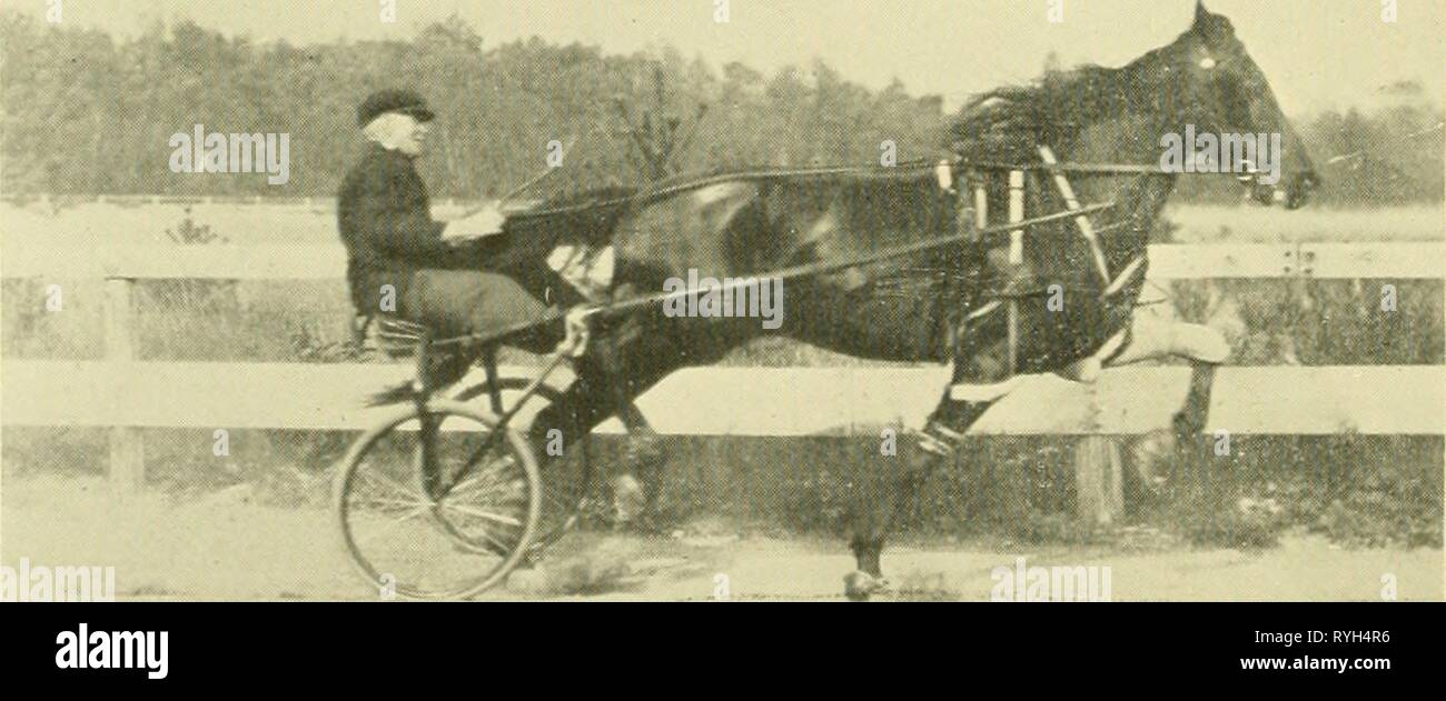 Los clubes de conducción de Greater Boston drivingclubsofgr01linn Año: 1914 ,J"l_ ^^^ mmgngjugi 1 - ! Mm^'iK:-:^^ ^^^hi m 'â¢^ ^-^9WF 9^e im^H .-J -Â"^ r fl ^^. ii; -i g^$^-*^ &^^HP ' .^H^i m ,.â ''-.-' ^^i ESPi-^ei â J I^^^^^irn â '~~ ^ â€*M â K*.---_.4.^_^ "â¢''^' -Â" "â ^Jt^^--- =rr--^l^ BttHfiHi Benjamín, 2:2h 1-4 (el juicio, 2:17) Titular de Matinee estimulación conjunta grabar al sur de Weymouth vía de 1:04. Propiedad de E. L. Edes y conducido por I. R. Anderson GEORGE V. uno de los más conocidos intérpretes Matinee de la antigua colonia en el Club local y Interclub cumple. Poseído y manejado por George H. Wi Foto de stock