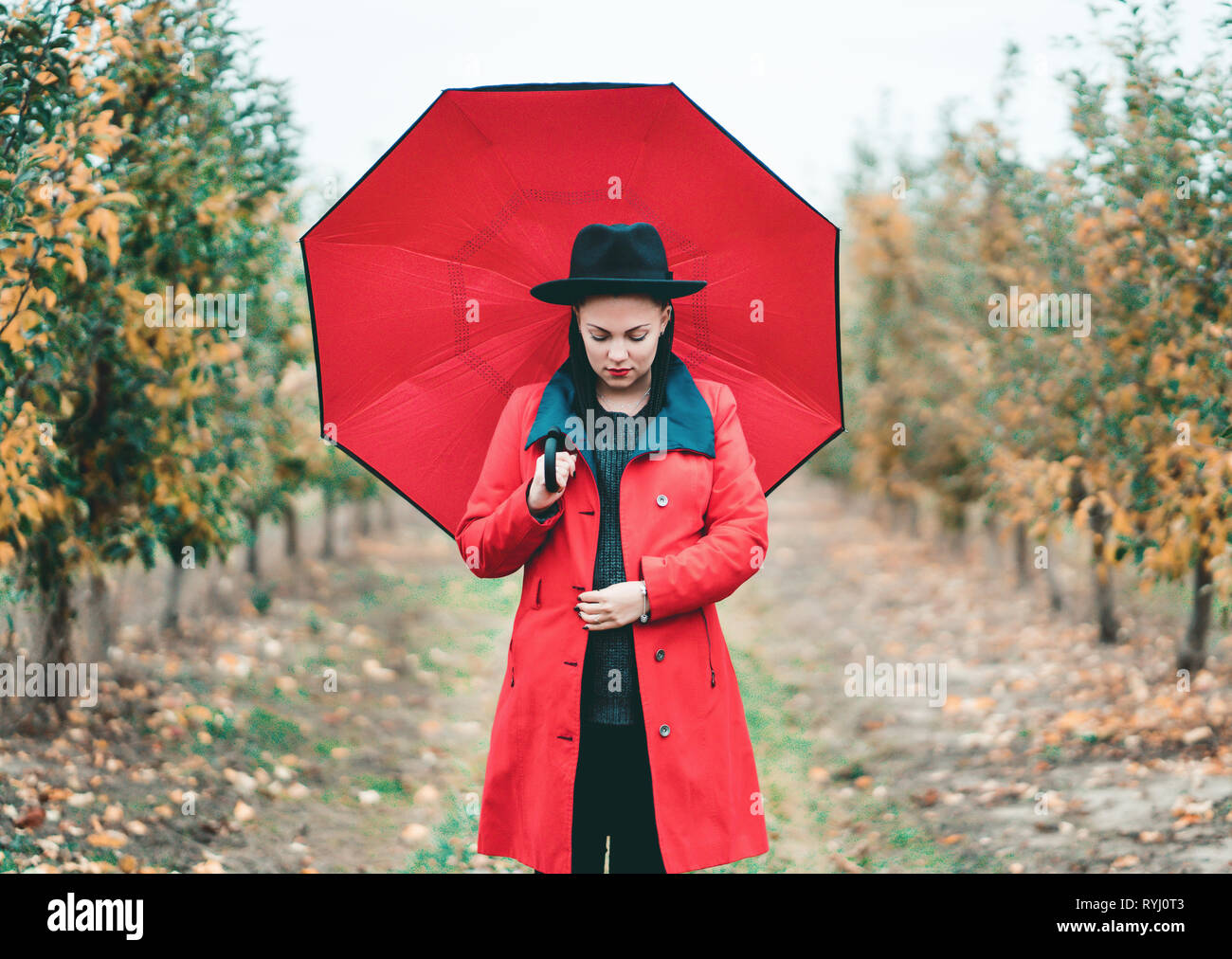 Mujer con abrigo rojo y con sombrilla, entre árboles de manzana en el  jardín en otoño. Bello retrato de niña caucásica Fotografía de stock - Alamy
