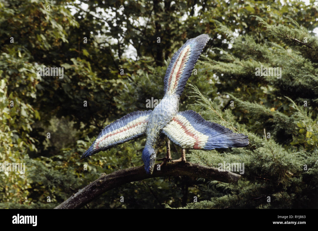 La prehistoria, tiempos prehistóricos, animales, archaeopteryx
