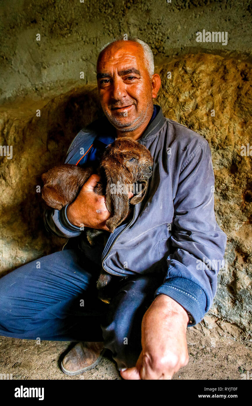 Criar ganado fotografías e imágenes de alta resolución Alamy