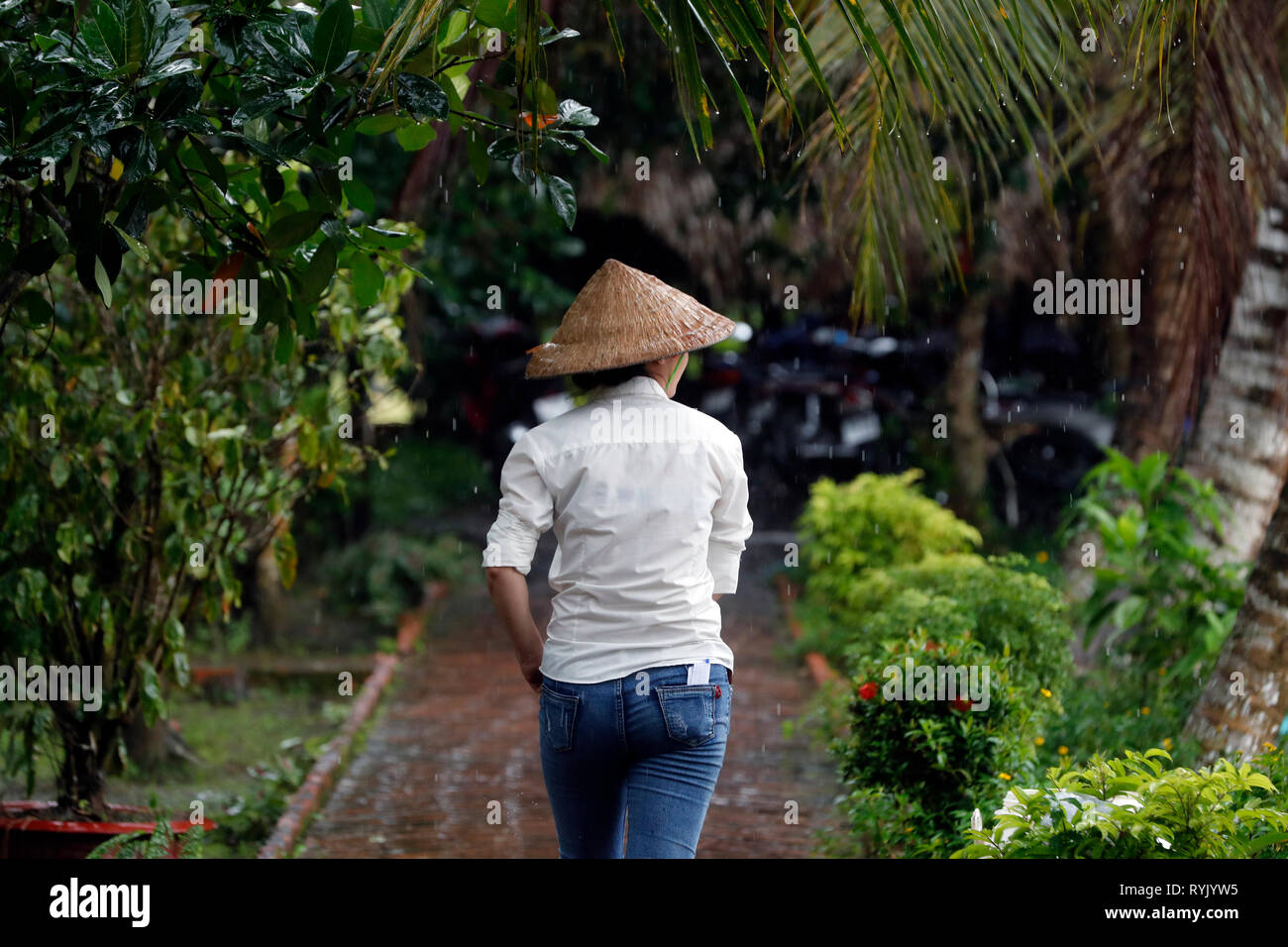 La temporada de lluvias. Mujer con sombrero cónico vietnamita bajo una intensa lluvia. Can Tho. Vietnam. Foto de stock