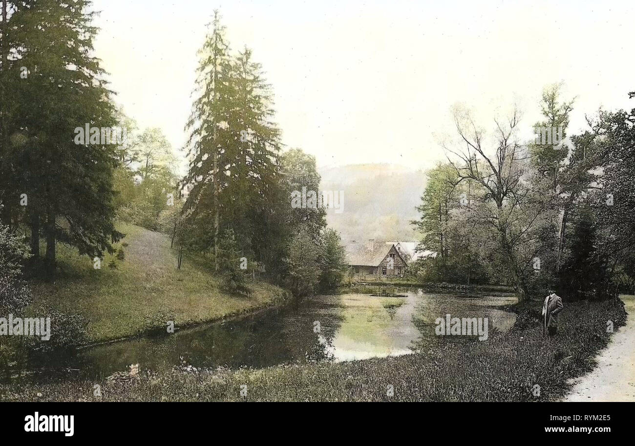 Los estanques en el Landkreis Harz, Edificios en Wernigerode, 1906, en el Estado federado de Sajonia-Anhalt, Wernigerode, Christianental, Alemania Foto de stock
