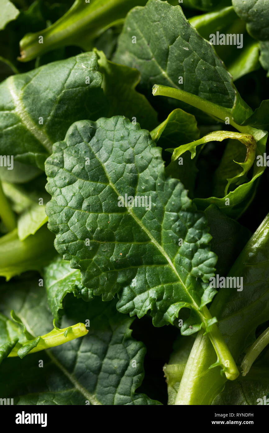 Verde cruda orgánica bebé Kale en un tazón Foto de stock