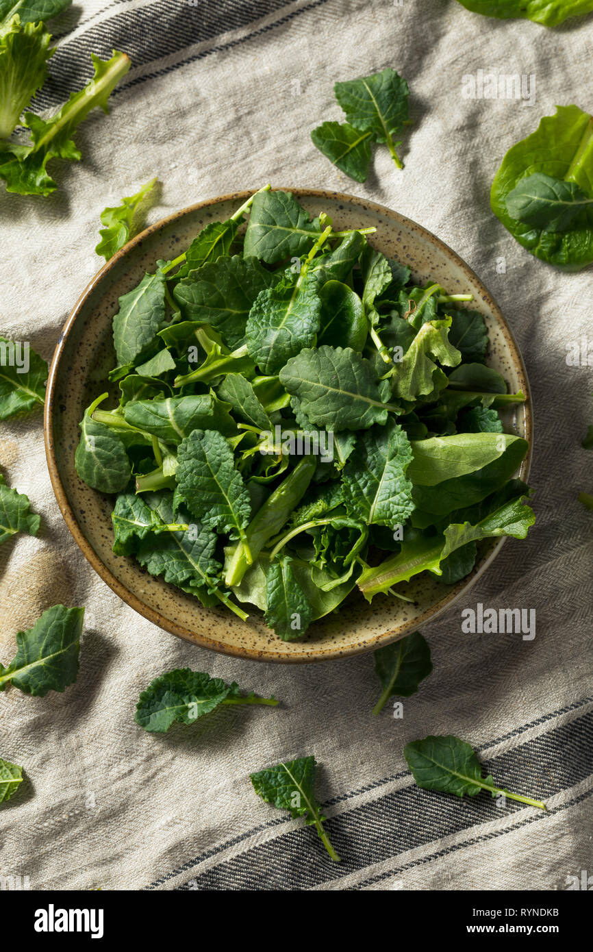 Verde cruda orgánica bebé Kale en un tazón Foto de stock