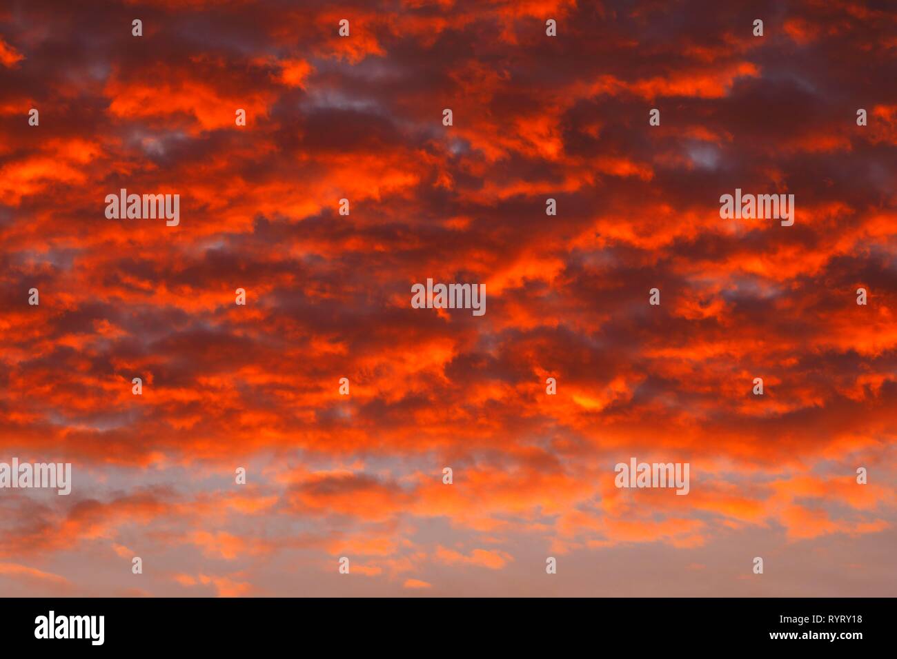 Rojo atardecer nublado, Schleswig-Holstein, Alemania Foto de stock
