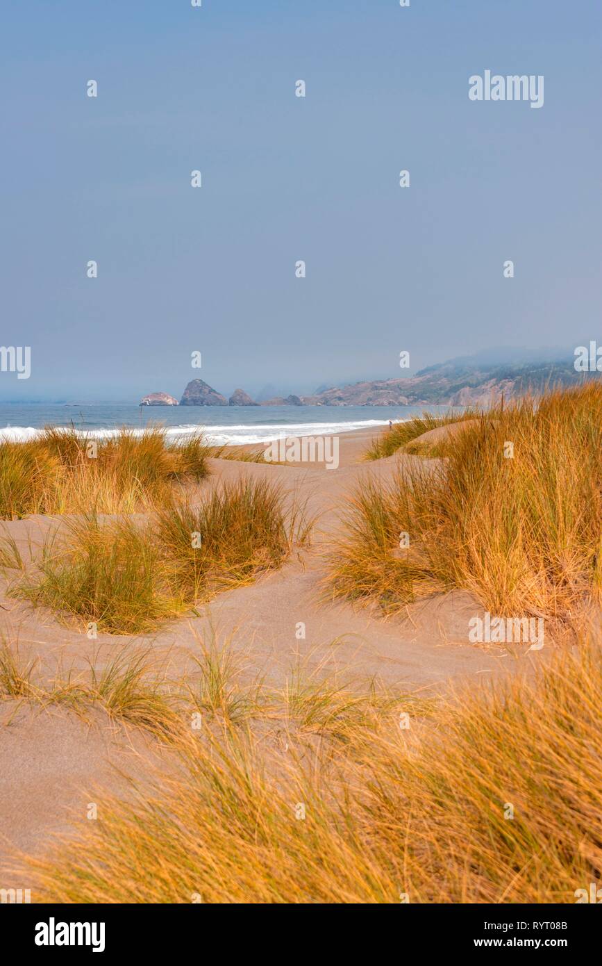 Ver más sobre cubierto de dunas de arena en la costa rocosa, pistola Río Oriente, Ariya's Beach, Oregon, EE.UU. Foto de stock
