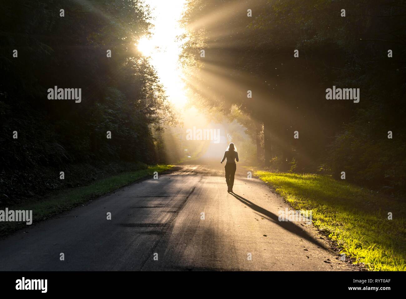 Mujer joven caminando por una calle, la luz del sol brilla a través de los árboles, Oregon Coast Highway, Oregón, EE.UU. Foto de stock