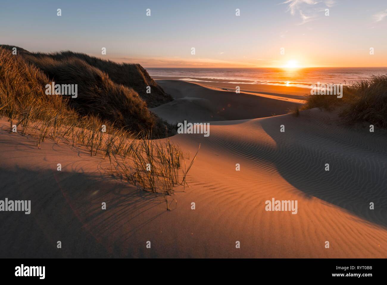 Puesta de sol, playa con arena y dunas de arena en la costa, aliso Dune, Baker Beach, viewpoint Holman Vista, Oregón, EE.UU. Foto de stock
