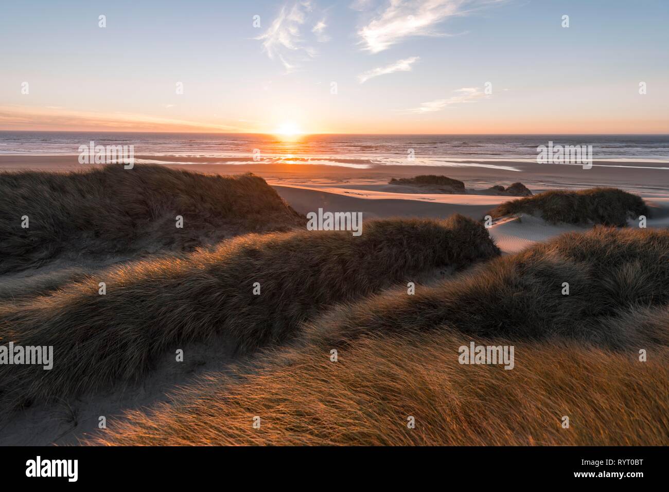 Puesta de sol, playa con arena y dunas de arena en la costa, aliso Dune, Baker Beach, viewpoint Holman Vista, Oregón, EE.UU. Foto de stock