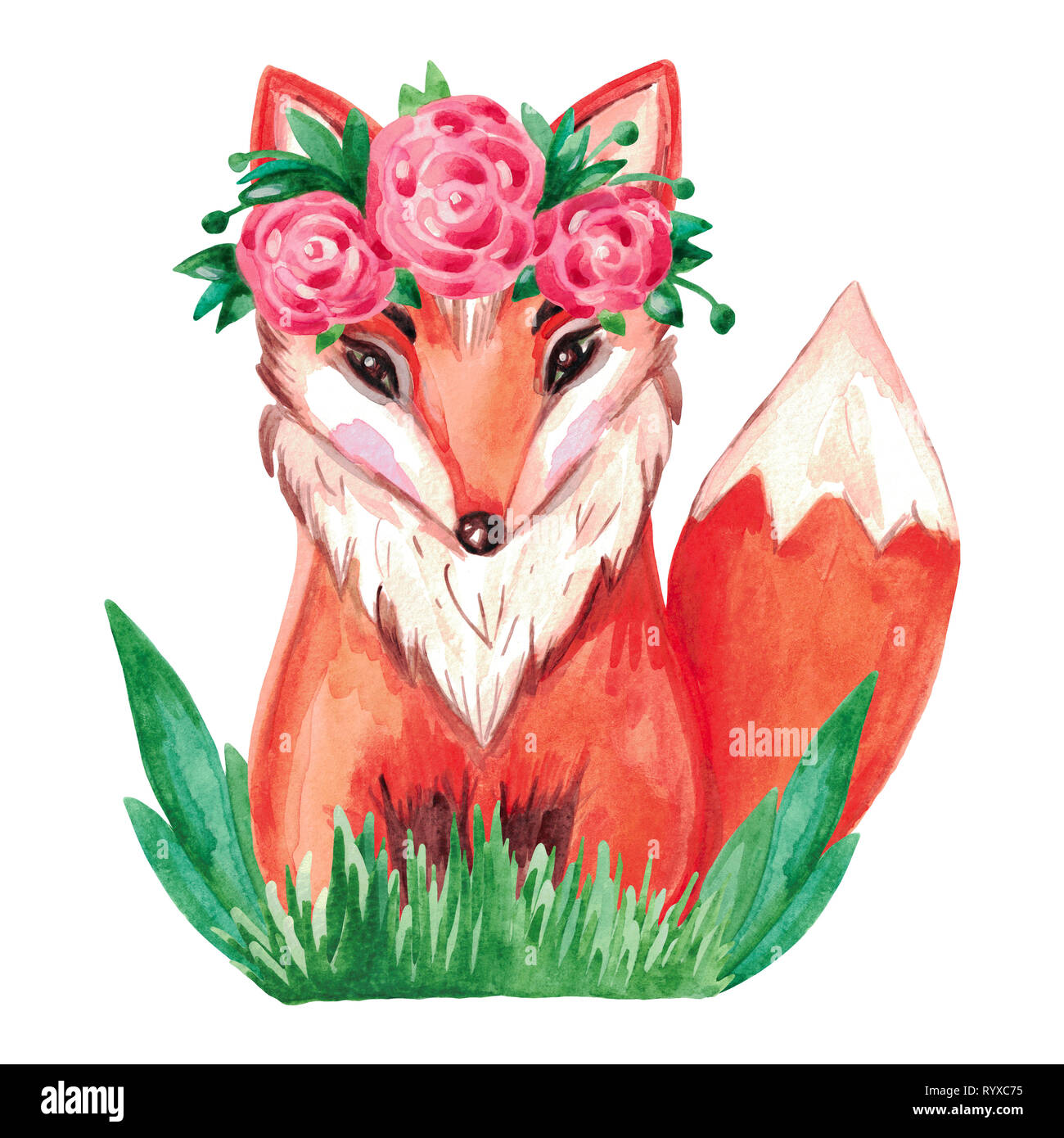 Acuarela ilustración de un zorro rojo y una corona de flores plantas hierba en blanco antecedentes aislados. Animales pintados a mano Foto de stock