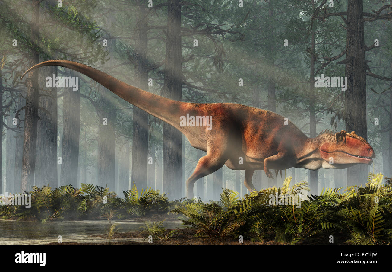 Giganotosaurus, uno de los mayores carnívoros terrestres conocidas, fue una carcharodontosaurid dinosaurios terópodos. La criatura se encuentra en un bosque Fotografía de stock - Alamy Giganotosaurus, uno de los mayores carnívoros terrestres conocidas, fue una carcharodontosaurid dinosaurios terópodos. La criatura se encuentra en un bosque Fotografía de stock - Alamy