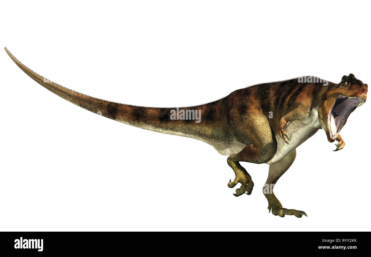 Giganotosaurus, uno de los mayores carnívoros terrestres conocidas, fue una  carcharodontosaurid dinosaurios terópodos. Aquí está uno con la boca  abierta en blanco Fotografía de stock - Alamy