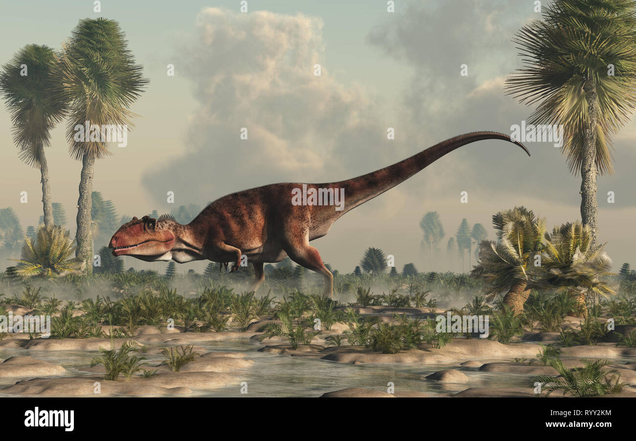 Giganotosaurus, uno de los mayores carnívoros terrestres conocidas, fue una  carcharodontosaurid dinosaurios terópodos. Aquí se encuentra en una llanura  acuosa Fotografía de stock - Alamy