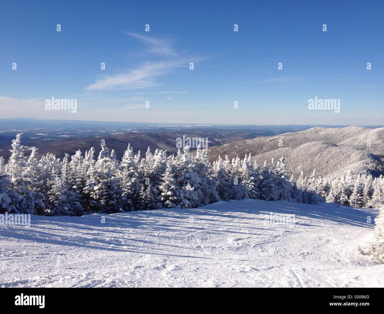 Congelados los árboles en la ladera de la montaña Foto de stock