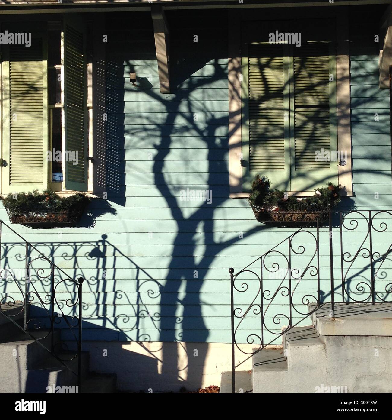 Resumen de los árboles de sombra en una vieja casa de Nueva Orleans. Foto de stock