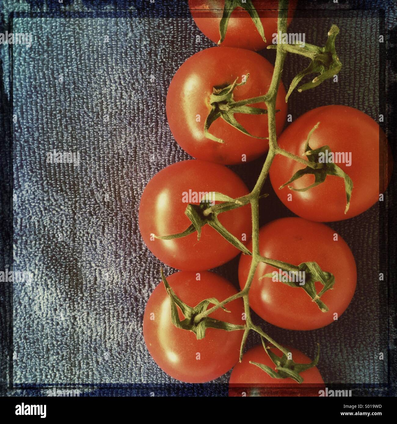 Vid tomates cherry en la cocina Foto de stock