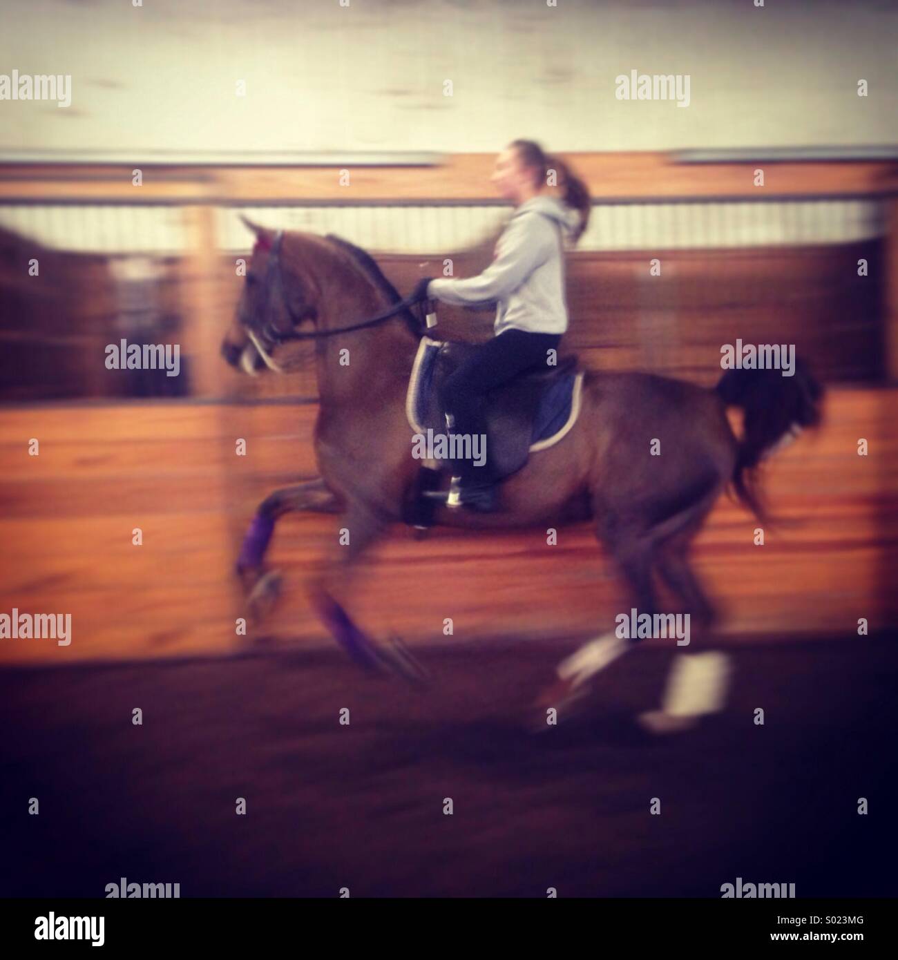 Chica en caballo Foto de stock
