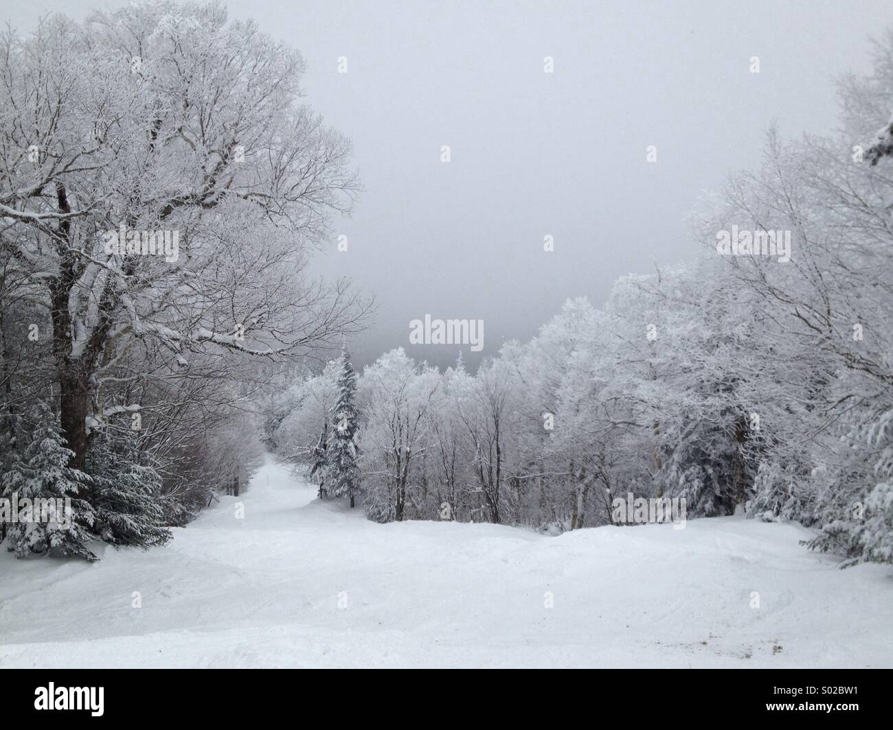 País de las maravillas invernal en Vermont Foto de stock
