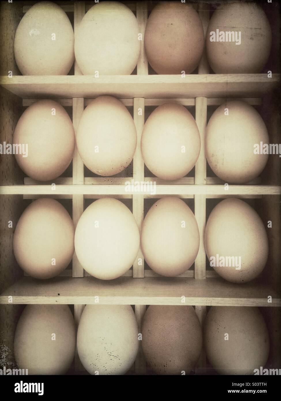 Filas de huevos de pollo fresco en una caja de madera Foto de stock