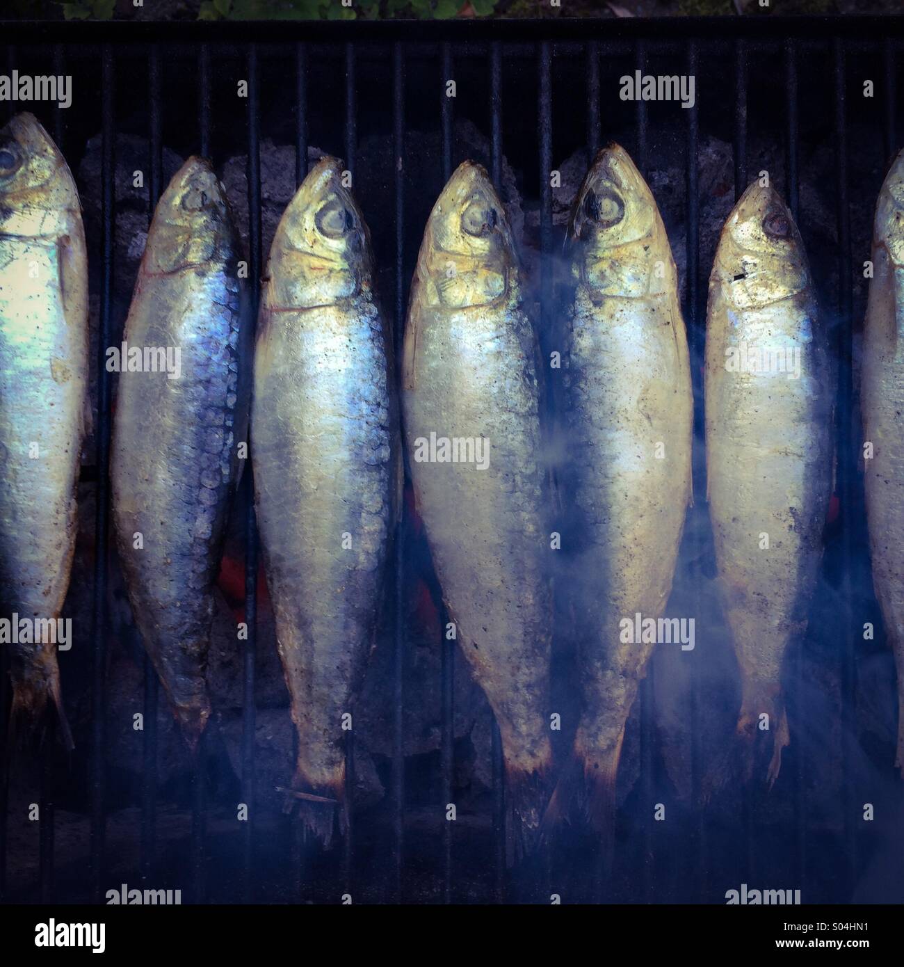 Las sardinas frescas en una barbacoa Foto de stock