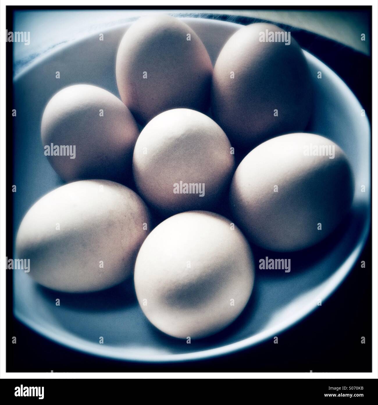 Huevos de gallina frescos en un recipiente blanco Foto de stock