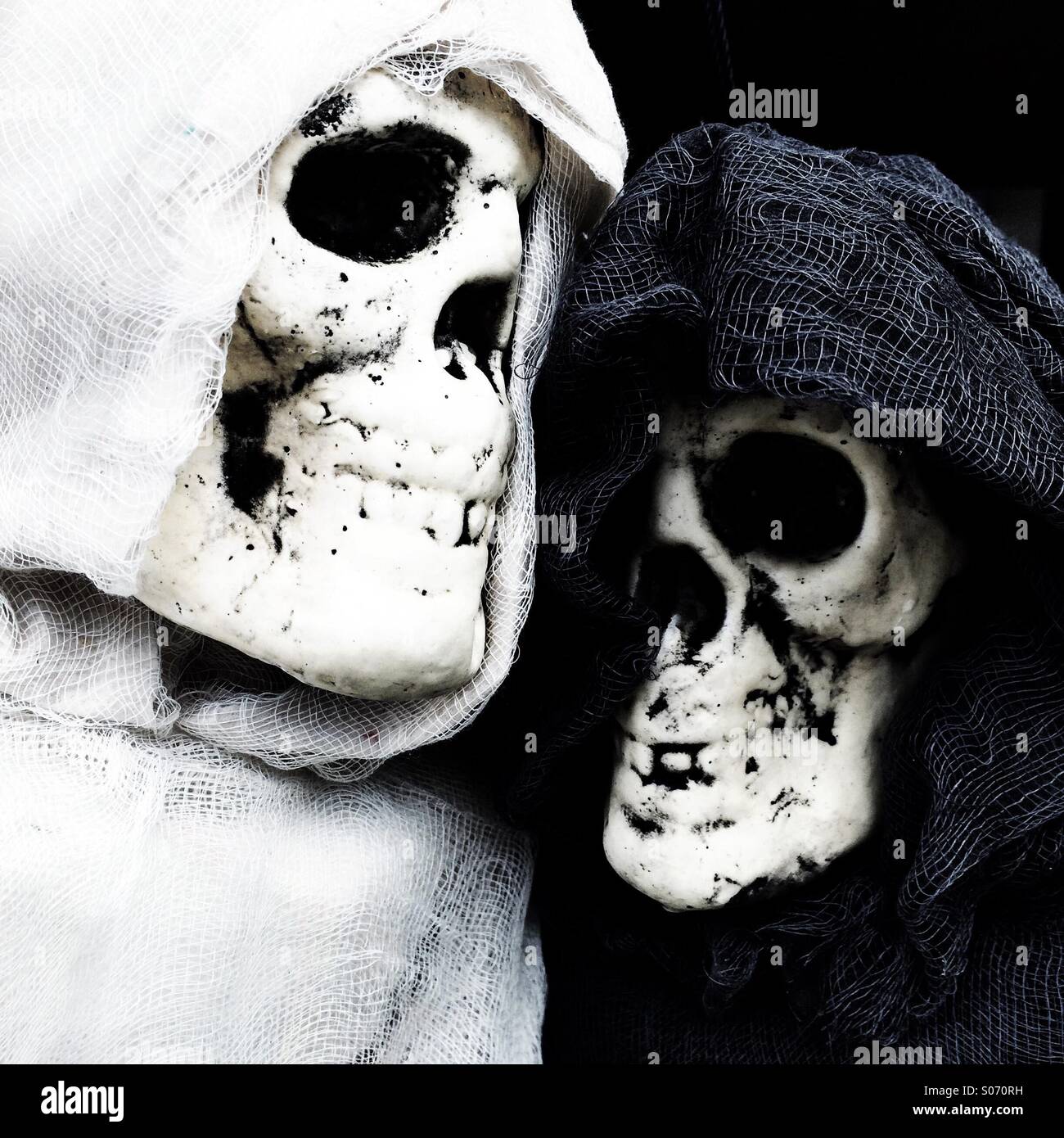 Dos Esqueletos Foto Imagen De Stock 309940949 Alamy