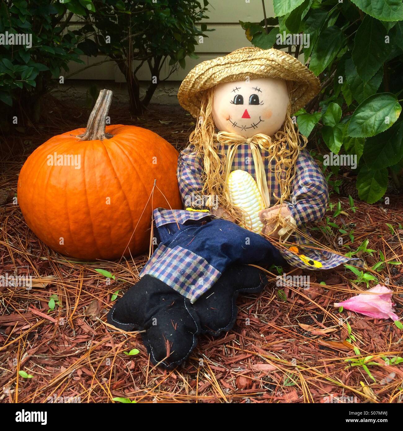 sombrero de espantapájaros