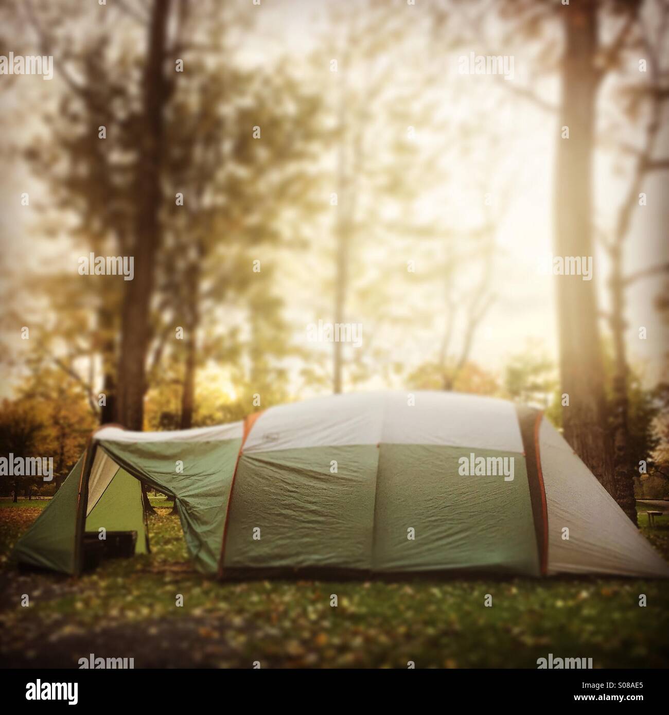 Camping en el norte del estado de Nueva York en la región del lago de los dedos. La tienda de campaña en un campamento durante la puesta de sol en la temporada de otoño. Foto de stock