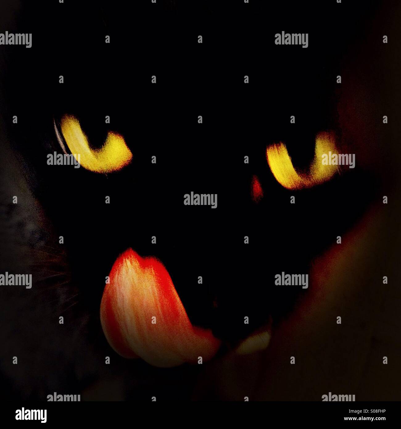 Lengua roja - gato negro caza en la oscuridad - ojos de gato - lengua roja - ojos amarillos Foto de stock