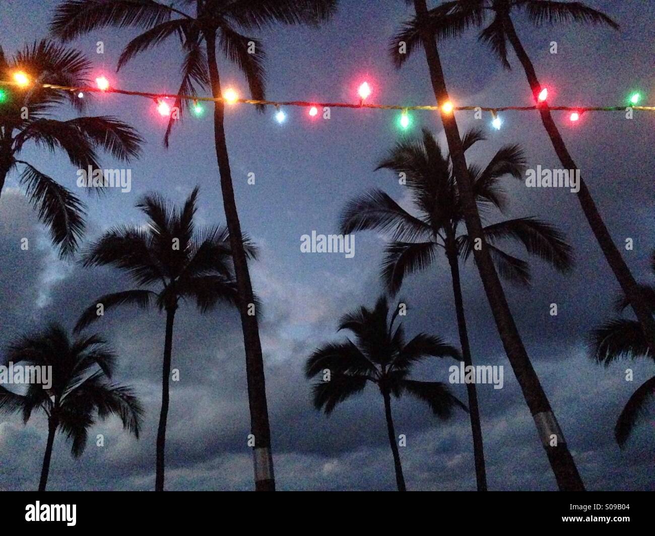Mele Kalikimaka desde Hawai en Navidad Foto de stock