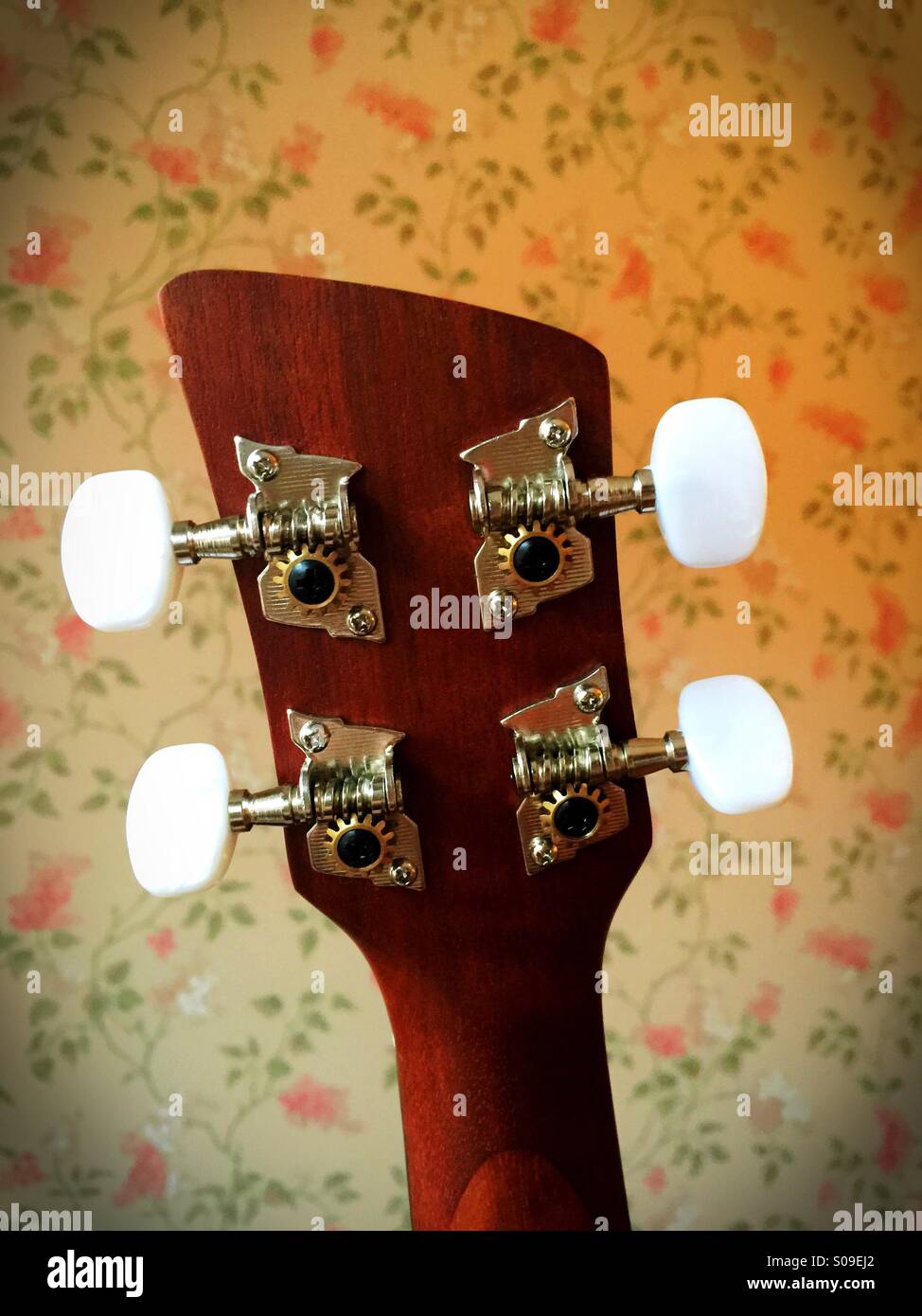 Un monstruo cara, clavijas de afinación ukelele realmente Fotografía de  stock - Alamy