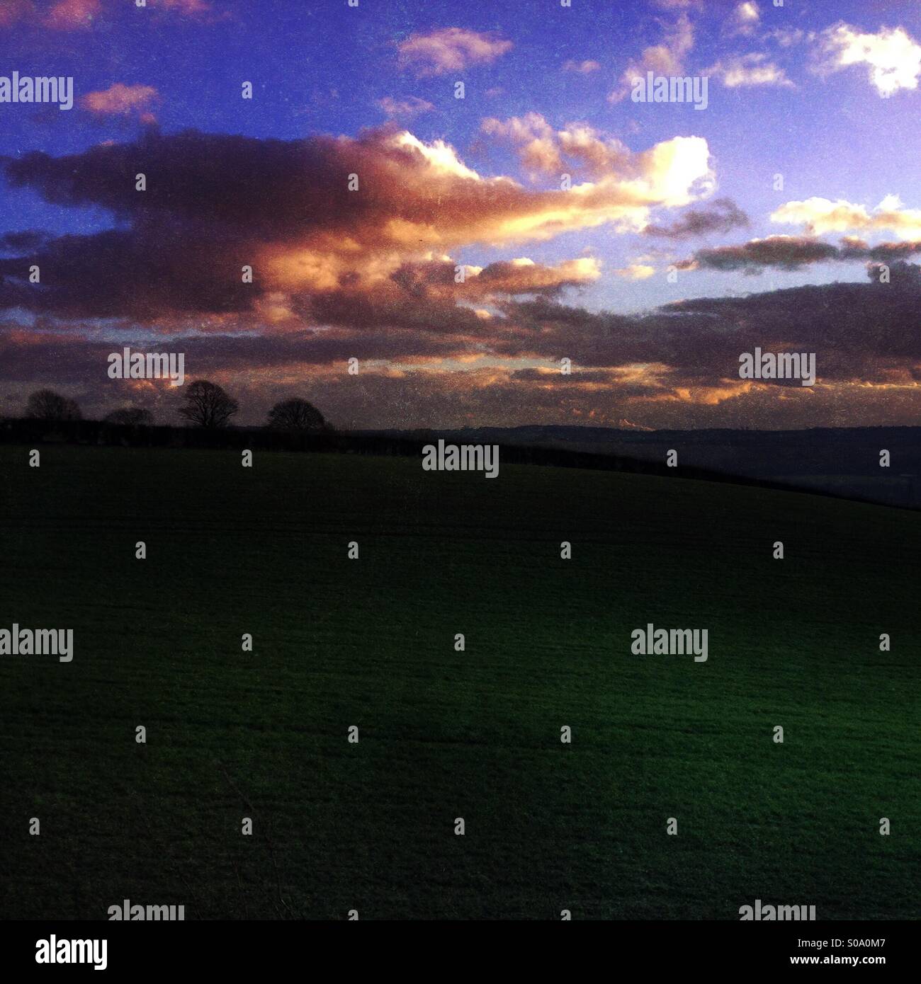 Atardecer en los campos de cultivo en inglés Fotografía de stock Alamy