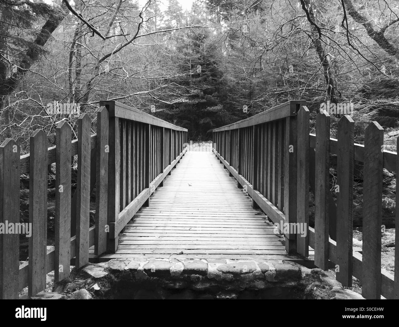 Puente Blanco y negro Foto tomada en Tollymore Park, Irlanda del Norte 28-03-15 Foto de stock