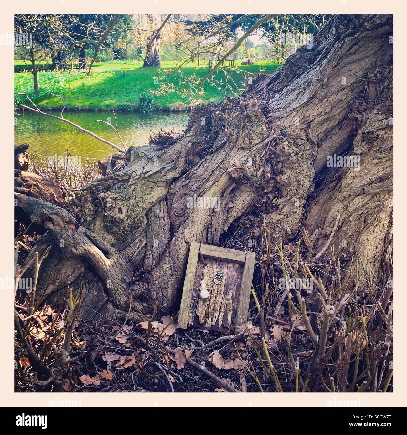 Tocón de árbol con pequeña puerta secreta Foto de stock