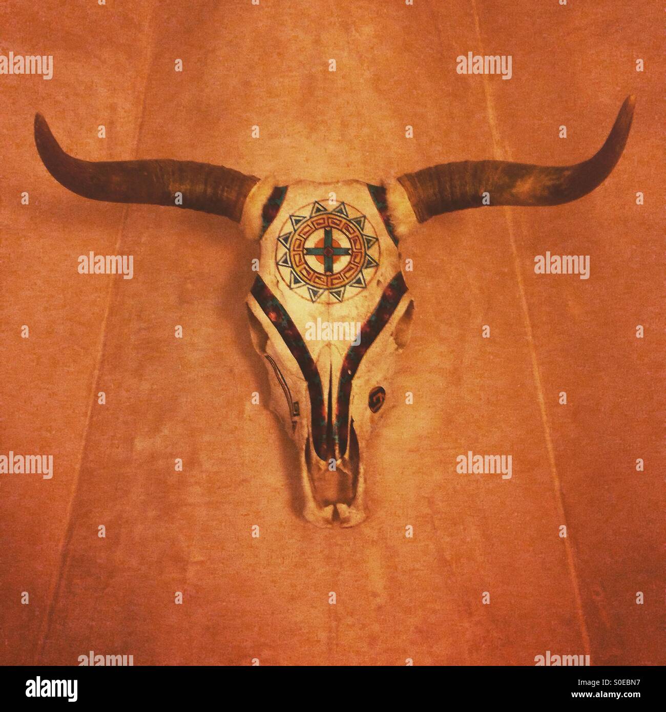 Cráneo de vaca pintado fotografías e imágenes de alta resolución - Alamy