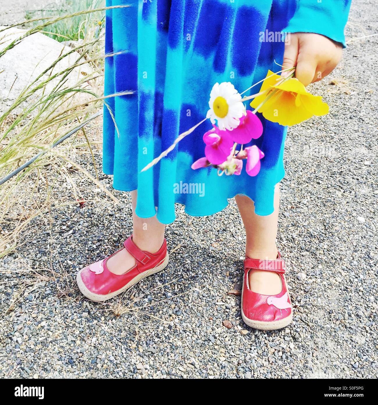 Una niña zapatos rojos tiene un recién elegido ramo de flores silvestres Fotografía de stock - Alamy