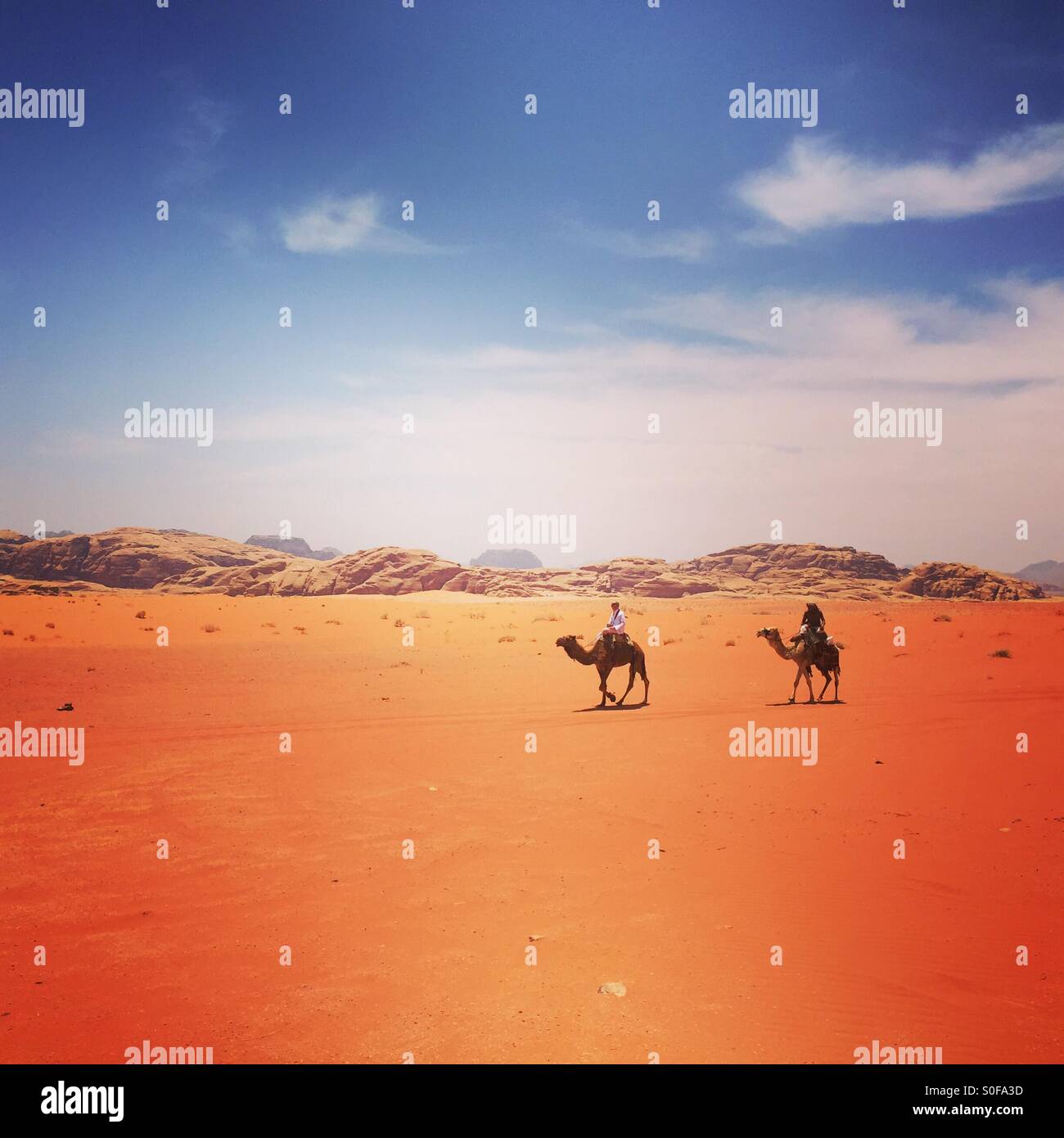 Paseo en Camello en Wadi Rum, Jordania Foto de stock